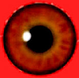 eye